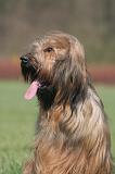 BRIARD 238